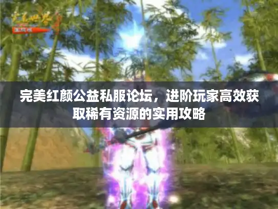 完美红颜公益私服论坛，进阶玩家高效获取稀有资源的实用攻略