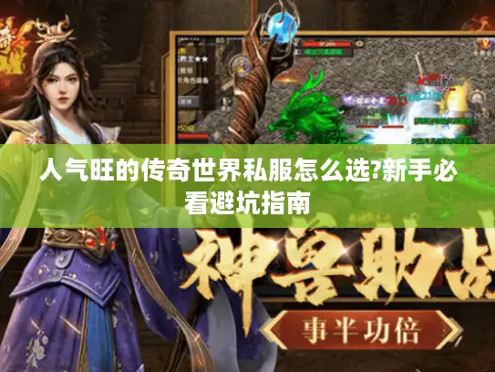 人气旺的传奇世界私服怎么选?新手必看避坑指南