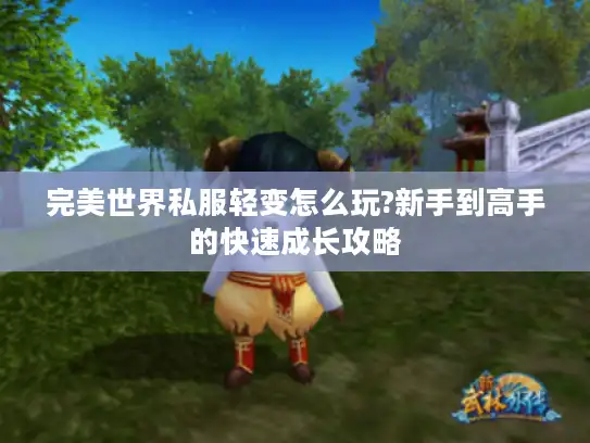 完美世界私服轻变怎么玩?新手到高手的快速成长攻略 完美世界私服轻变怎么玩?新手到高手的快速成长攻略