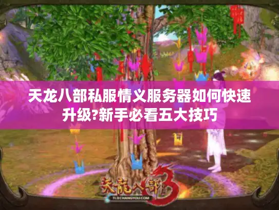 天龙八部私服情义服务器如何快速升级?新手必看五大技巧 天龙八部私服情义服务器如何快速升级?新手必看五大技巧