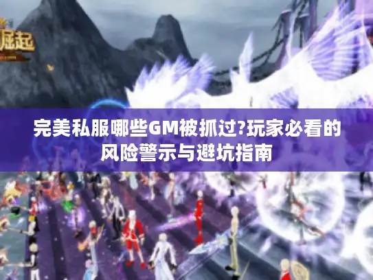 完美私服哪些GM被抓过?玩家必看的风险警示与避坑指南
