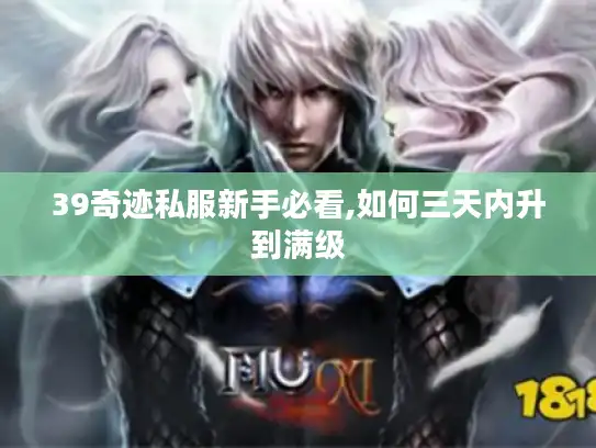 39奇迹私服新手必看,如何三天内升到满级