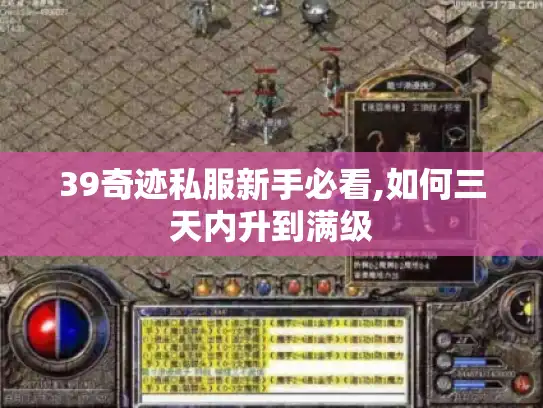 39奇迹私服新手必看,如何三天内升到满级