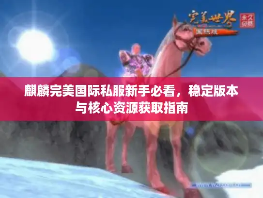 麒麟完美国际私服新手必看，稳定版本与核心资源获取指南