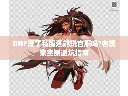 DNF玩了私服还能玩官服吗?老玩家实测避坑指南