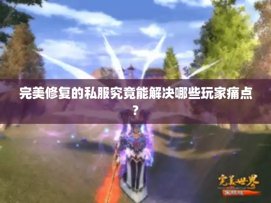 完美修复的私服究竟能解决哪些玩家痛点?