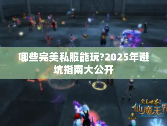 哪些完美私服能玩?2025年避坑指南大公开 哪些完美私服能玩?2025年避坑指南大公开