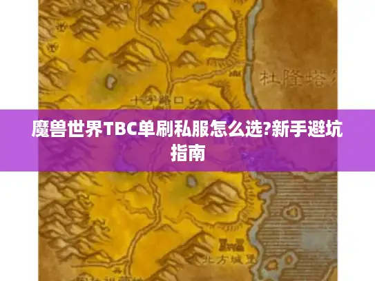 魔兽世界TBC单刷私服怎么选?新手避坑指南