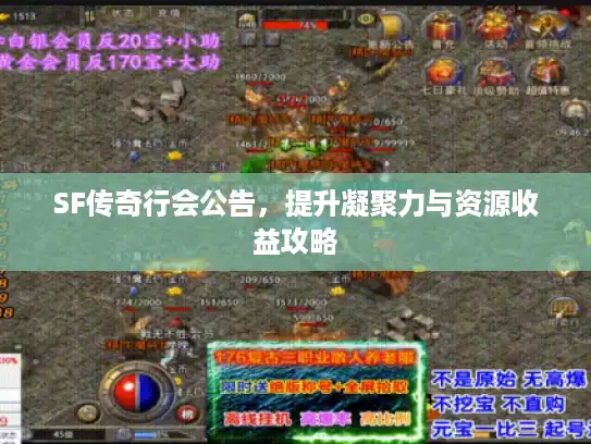 SF传奇行会公告，提升凝聚力与资源收益攻略