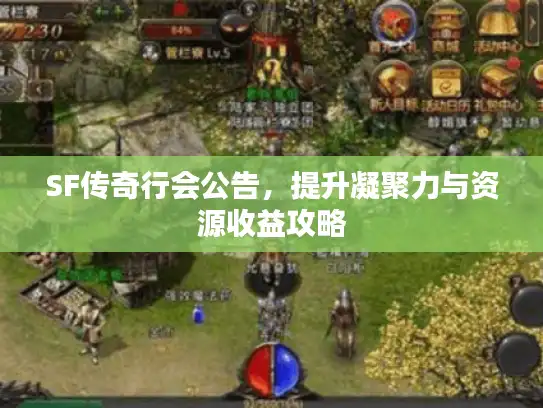 SF传奇行会公告，提升凝聚力与资源收益攻略