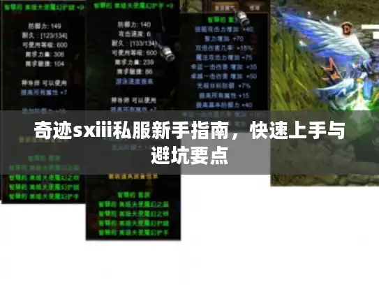 奇迹sxiii私服新手指南，快速上手与避坑要点