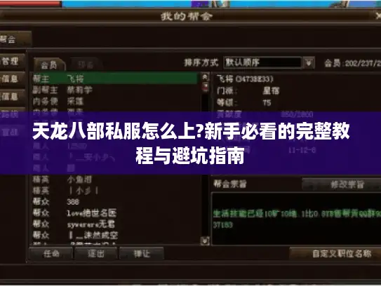 天龙八部私服怎么上?新手必看的完整教程与避坑指南
