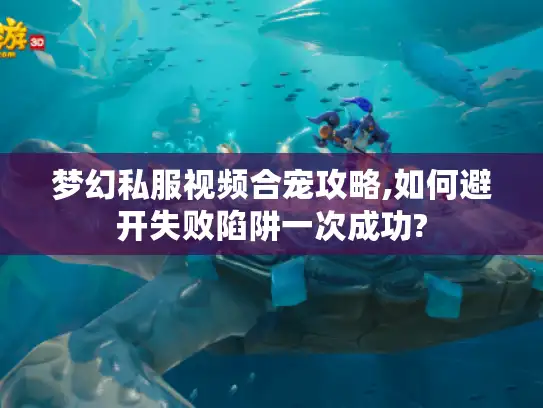 梦幻私服视频合宠攻略,如何避开失败陷阱一次成功?