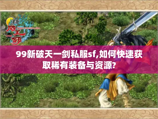 99新破天一剑私服sf,如何快速获取稀有装备与资源?