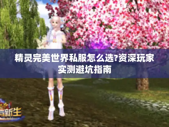 精灵完美世界私服怎么选?资深玩家实测避坑指南