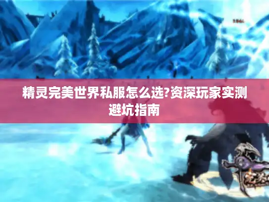 精灵完美世界私服怎么选?资深玩家实测避坑指南 精灵完美世界私服怎么选?资深玩家实测避坑指南