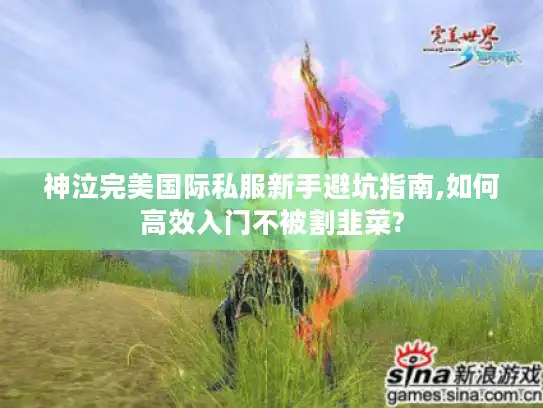 神泣完美国际私服新手避坑指南,如何高效入门不被割韭菜?