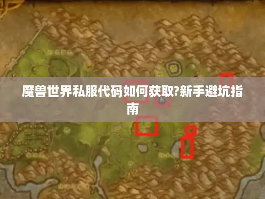 魔兽世界私服代码如何获取?新手避坑指南