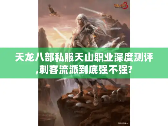 天龙八部私服天山职业深度测评,刺客流派到底强不强?