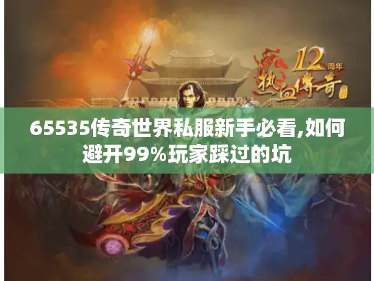 65535传奇世界私服新手必看,如何避开99%玩家踩过的坑
