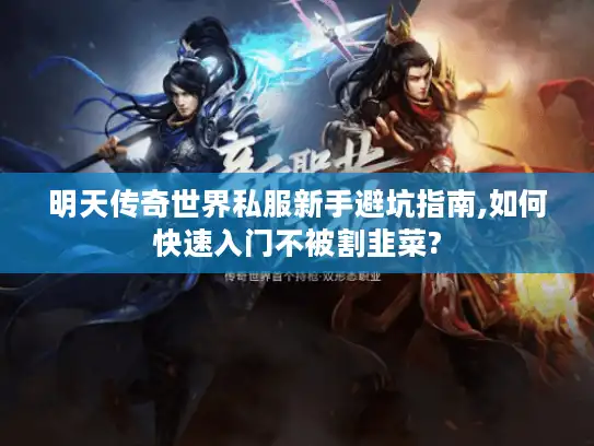 明天传奇世界私服新手避坑指南,如何快速入门不被割韭菜?
