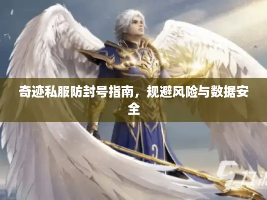 奇迹私服防封号指南，规避风险与数据安全