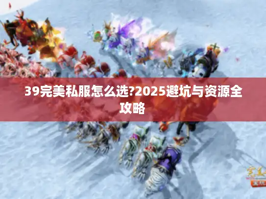 39完美私服怎么选?2025避坑与资源全攻略