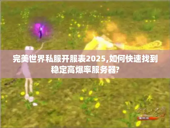 完美世界私服开服表2025,如何快速找到稳定高爆率服务器?