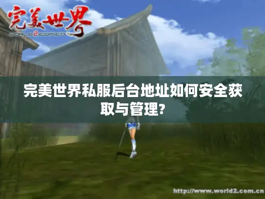 完美世界私服后台地址如何安全获取与管理?