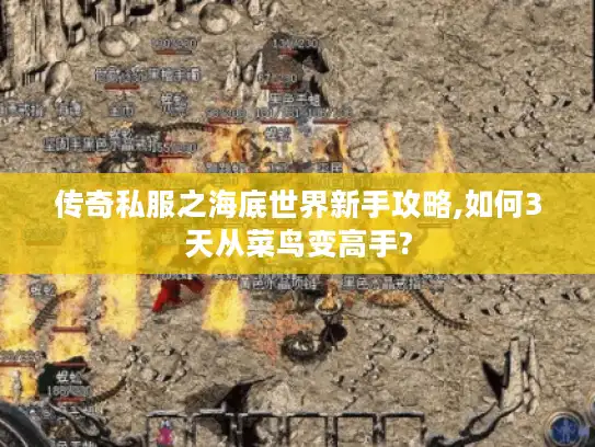 传奇私服之海底世界新手攻略,如何3天从菜鸟变高手?