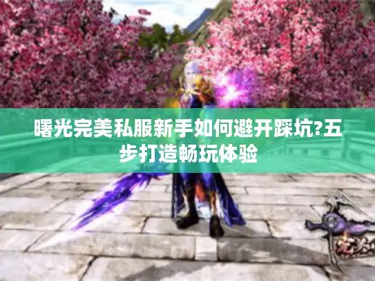 曙光完美私服新手如何避开踩坑?五步打造畅玩体验