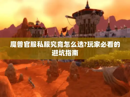 魔兽官服私服究竟怎么选?玩家必看的避坑指南
