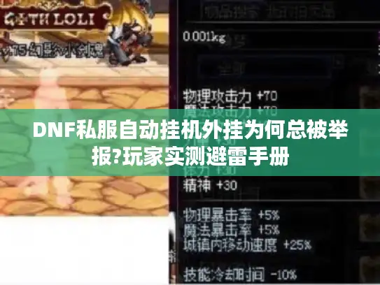 DNF私服自动挂机外挂为何总被举报?玩家实测避雷手册