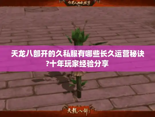 天龙八部开的久私服有哪些长久运营秘诀?十年玩家经验分享