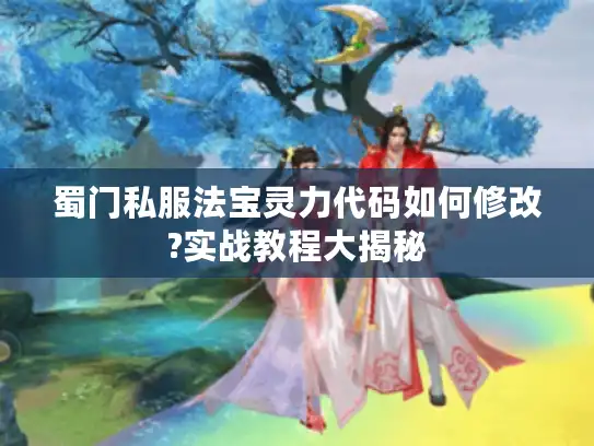 蜀门私服法宝灵力代码如何修改?实战教程大揭秘