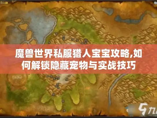 魔兽世界私服猎人宝宝攻略,如何解锁隐藏宠物与实战技巧