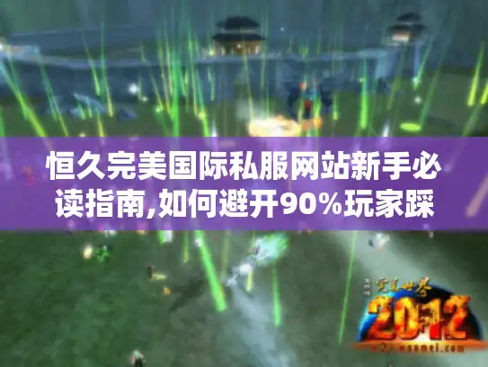 恒久完美国际私服网站新手必读指南,如何避开90%玩家踩过的坑?