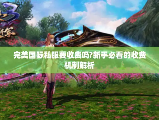 完美国际私服要收费吗?新手必看的收费机制解析