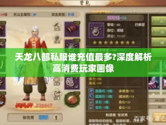 天龙八部私服谁充值最多?深度解析高消费玩家画像