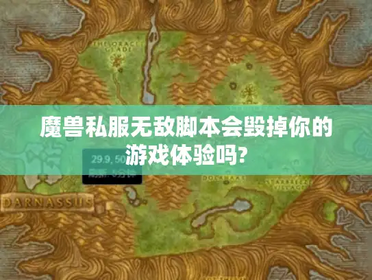 魔兽私服无敌脚本会毁掉你的游戏体验吗? 魔兽私服无敌脚本会毁掉你的游戏体验吗?