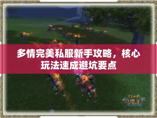 多情完美私服新手攻略,核心玩法速成避坑要点 多情完美私服新手攻略,核心玩法速成避坑要点