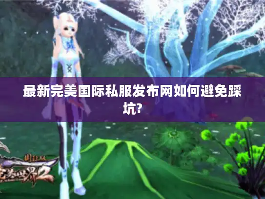 最新完美国际私服发布网如何避免踩坑?