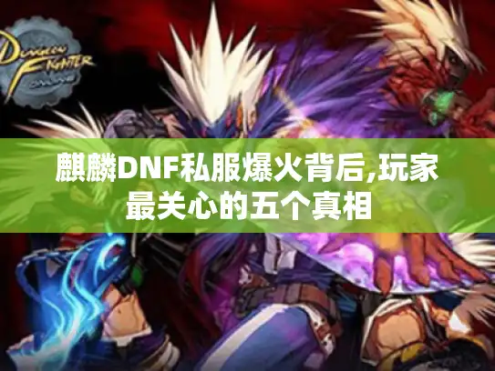 麒麟DNF私服爆火背后,玩家最关心的五个真相