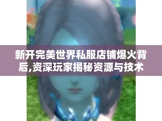 新开完美世界私服店铺爆火背后,资深玩家揭秘资源与技术黑箱