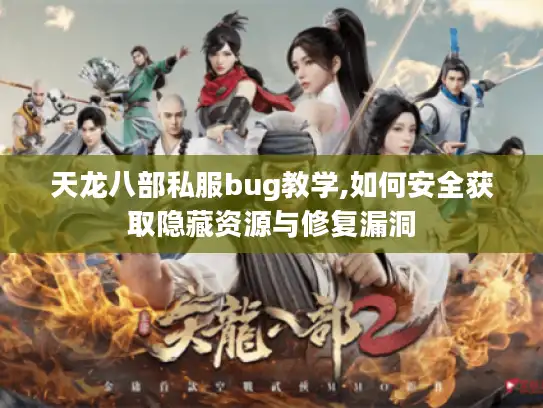 天龙八部私服bug教学,如何安全获取隐藏资源与修复漏洞