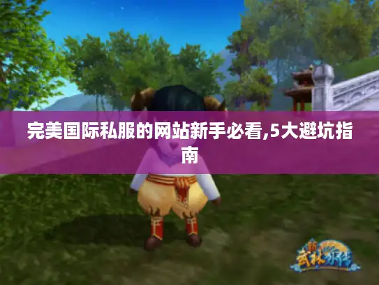 完美国际私服的网站新手必看,5大避坑指南 完美国际私服的网站新手必看,5大避坑指南