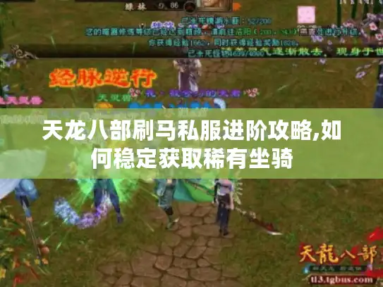 天龙八部刷马私服进阶攻略,如何稳定获取稀有坐骑
