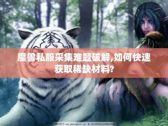 魔兽私服采集难题破解,如何快速获取稀缺材料?