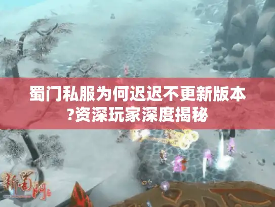 蜀门私服为何迟迟不更新版本?资深玩家深度揭秘