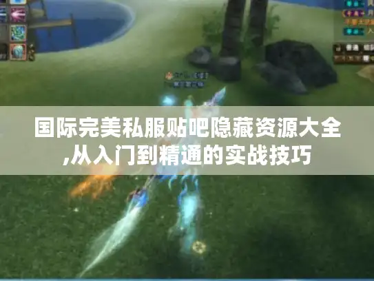 国际完美私服贴吧隐藏资源大全,从入门到精通的实战技巧